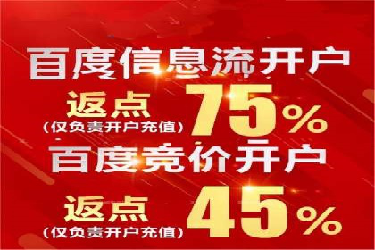 百度竞价排名案例：如何实现低成本高回报